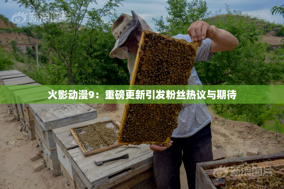 火影动漫9：重磅更新引发粉丝热议与期待