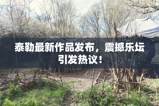 泰勒最新作品发布，震撼乐坛引发热议！