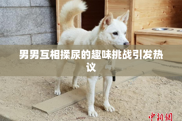 男男互相揉尿的趣味挑战引发热议