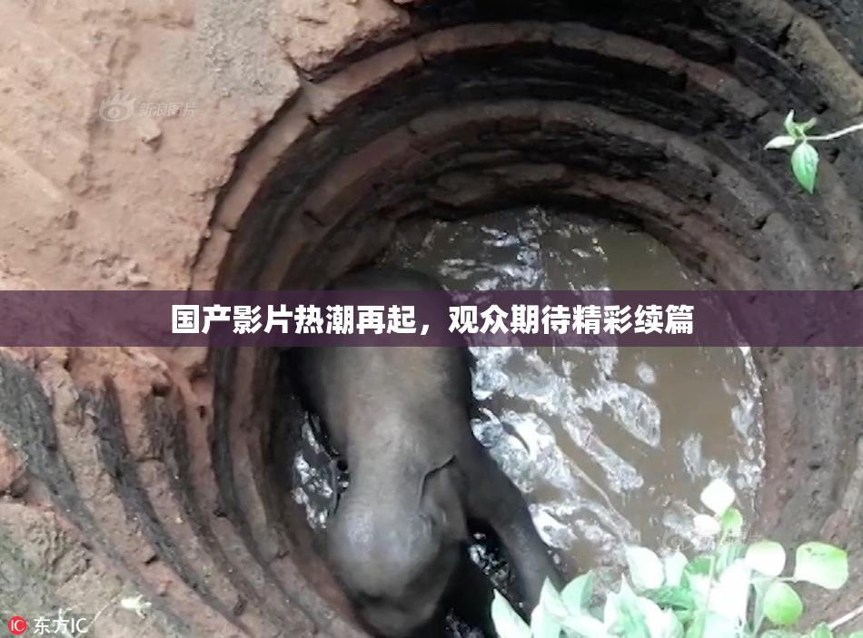 国产影片热潮再起，观众期待精彩续篇