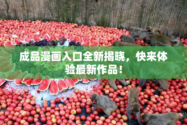 成品漫画入口全新揭晓，快来体验最新作品！