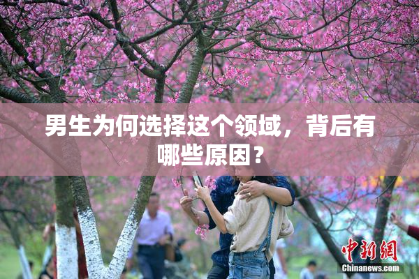 男生为何选择这个领域，背后有哪些原因？