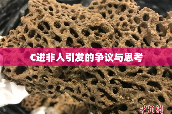 C进非人引发的争议与思考