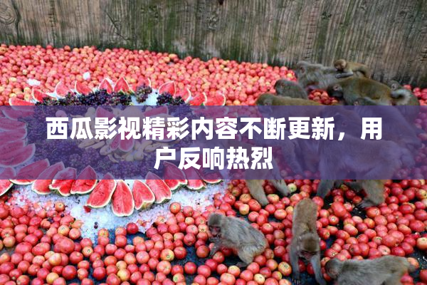 西瓜影视精彩内容不断更新，用户反响热烈