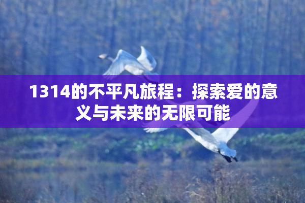 1314的不平凡旅程：探索爱的意义与未来的无限可能