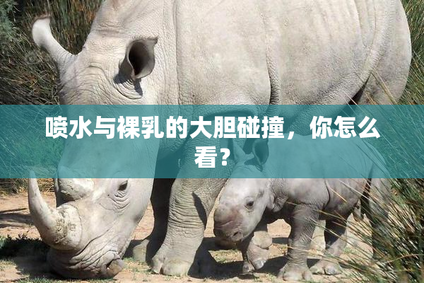 喷水与裸乳的大胆碰撞，你怎么看？