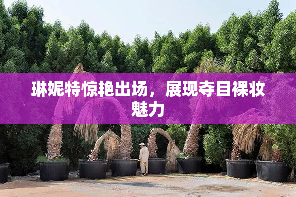 琳妮特惊艳出场，展现夺目裸妆魅力