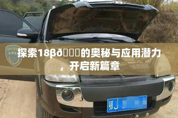 探索18β🍆的奥秘与应用潜力，开启新篇章