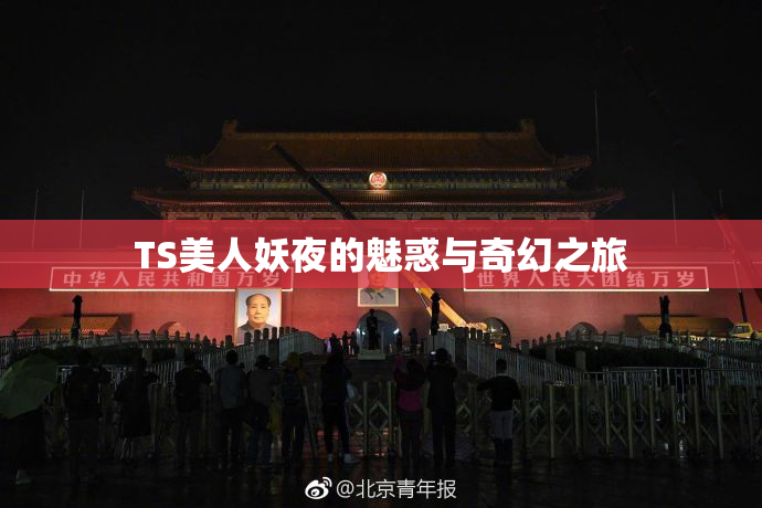 TS美人妖夜的魅惑与奇幻之旅