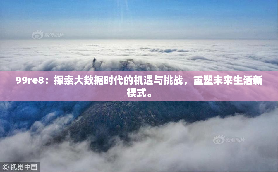 99re8：探索大数据时代的机遇与挑战，重塑未来生活新模式。