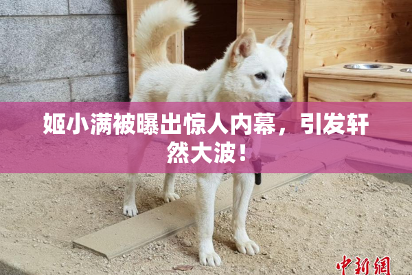 姬小满被曝出惊人内幕，引发轩然大波！
