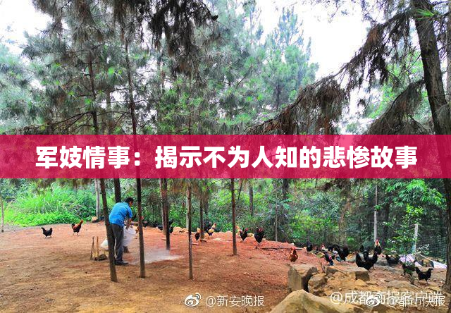 军妓情事：揭示不为人知的悲惨故事