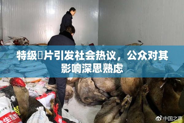 特级婬片引发社会热议，公众对其影响深思熟虑
