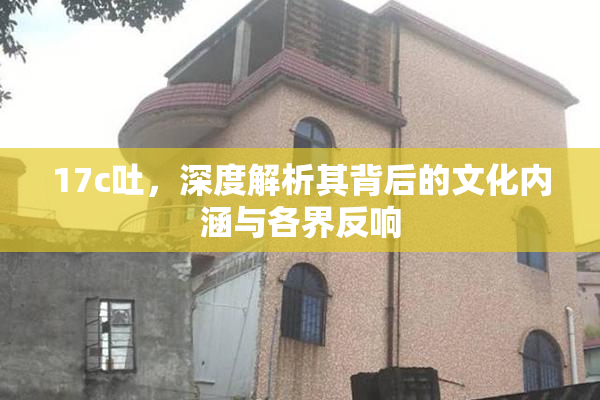 17c吐，深度解析其背后的文化内涵与各界反响