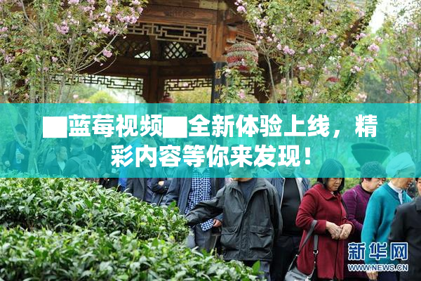 ▇蓝莓视频▇全新体验上线，精彩内容等你来发现！