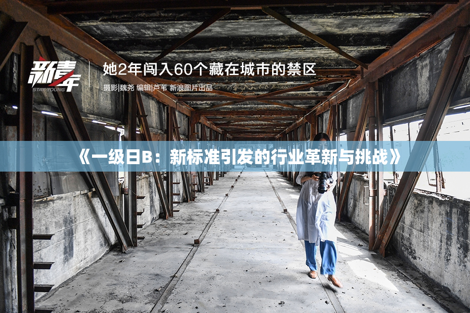 《一级日B：新标准引发的行业革新与挑战》