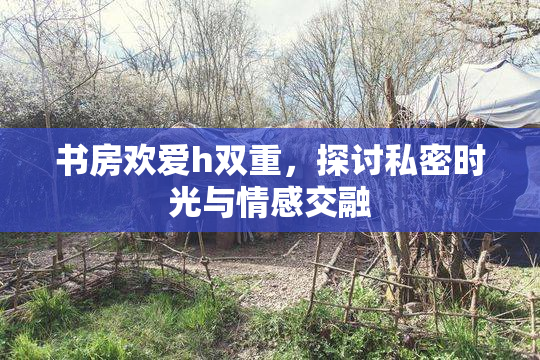 书房欢爱h双重，探讨私密时光与情感交融
