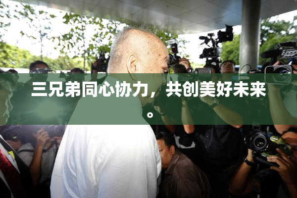 三兄弟同心协力，共创美好未来。