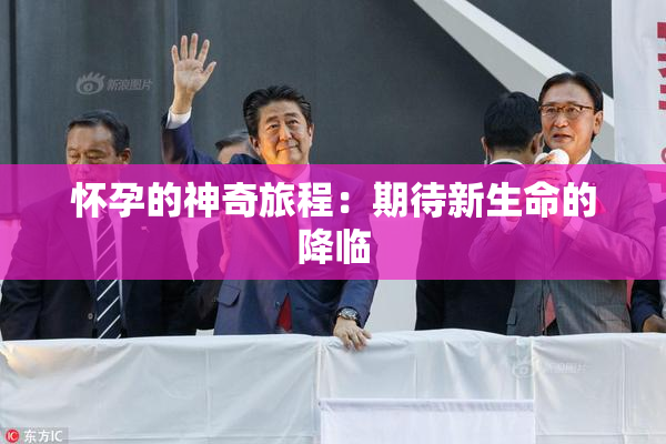 怀孕的神奇旅程：期待新生命的降临