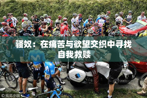 骚奴：在痛苦与欲望交织中寻找自我救赎