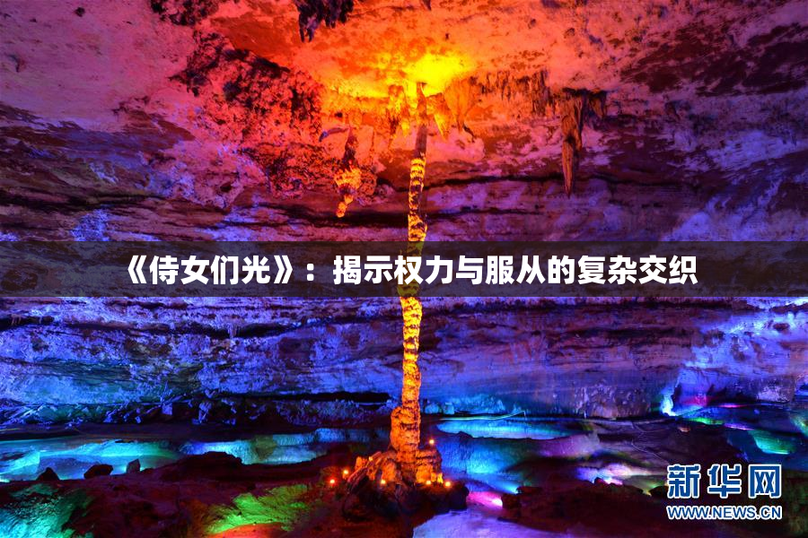 《侍女们光》：揭示权力与服从的复杂交织