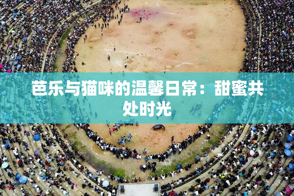 芭乐与猫咪的温馨日常：甜蜜共处时光