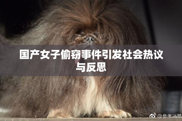 国产女子偷窃事件引发社会热议与反思