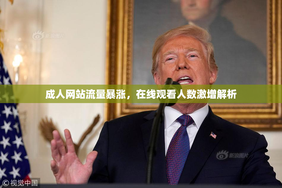 成人网站流量暴涨，在线观看人数激增解析