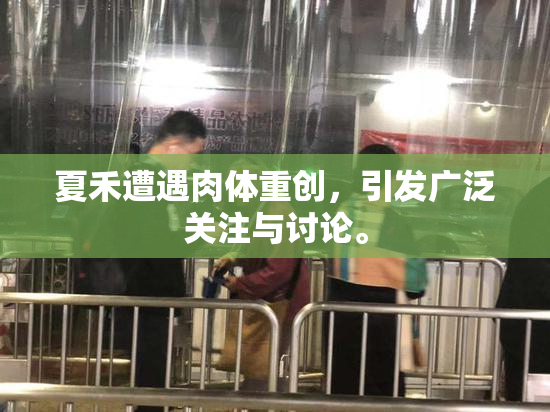 夏禾遭遇肉体重创，引发广泛关注与讨论。