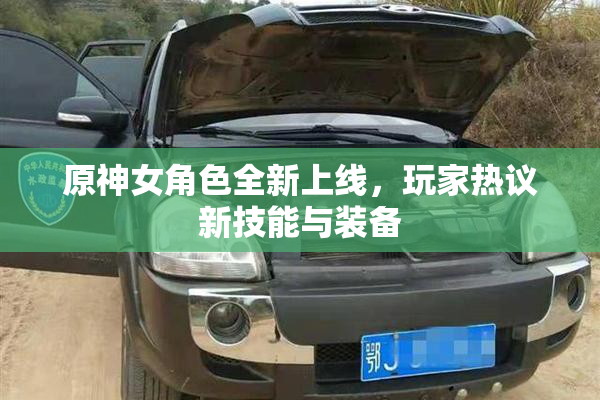 原神女角色全新上线，玩家热议新技能与装备