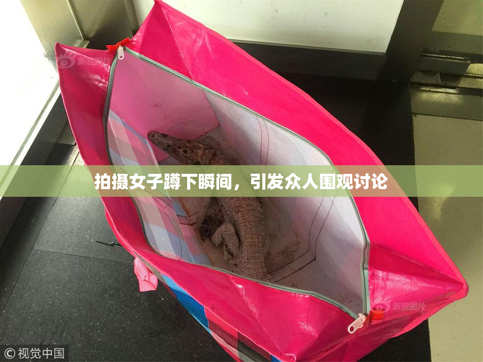 拍摄女子蹲下瞬间，引发众人围观讨论