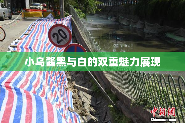 小乌酱黑与白的双重魅力展现