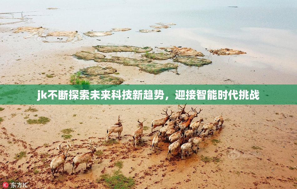 jk不断探索未来科技新趋势，迎接智能时代挑战