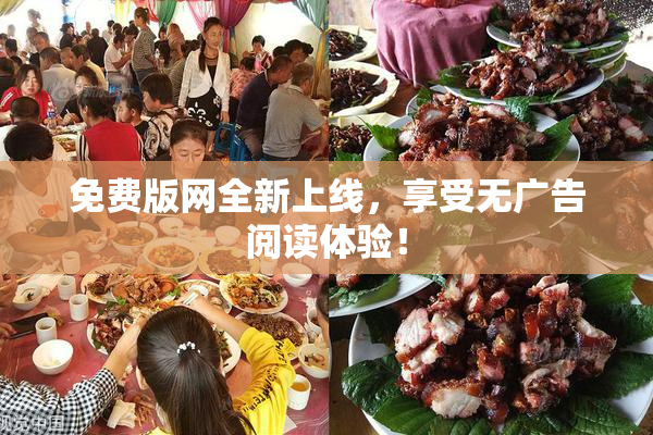 免费版网全新上线，享受无广告阅读体验！