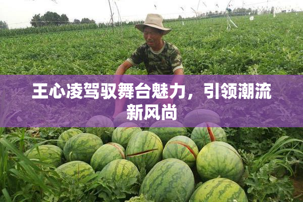 王心凌驾驭舞台魅力，引领潮流新风尚