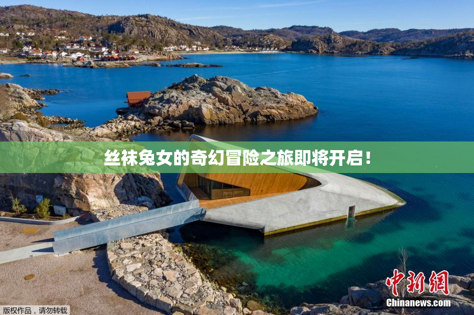 丝袜兔女的奇幻冒险之旅即将开启！