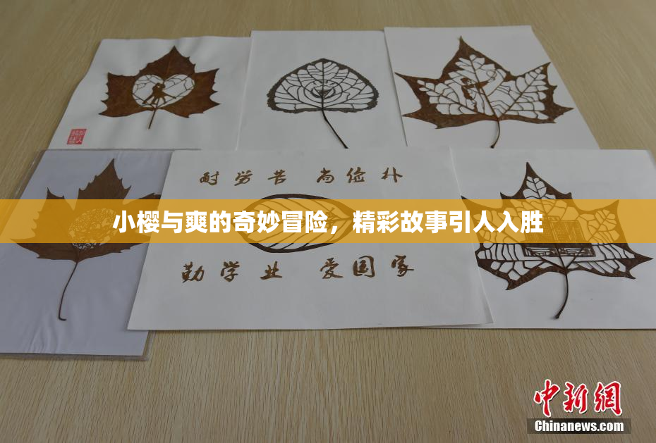 小樱与爽的奇妙冒险，精彩故事引人入胜