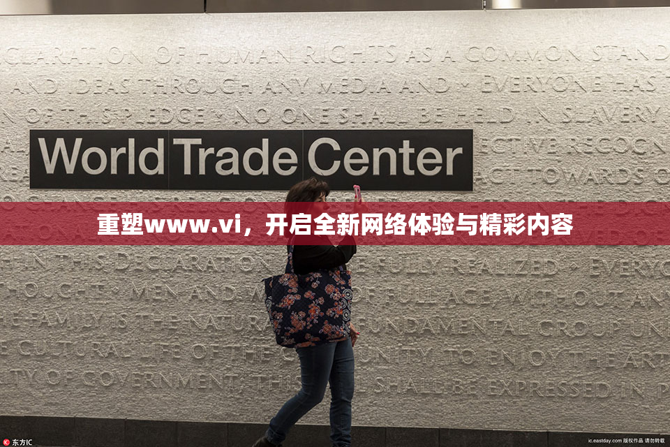 重塑www.vi，开启全新网络体验与精彩内容