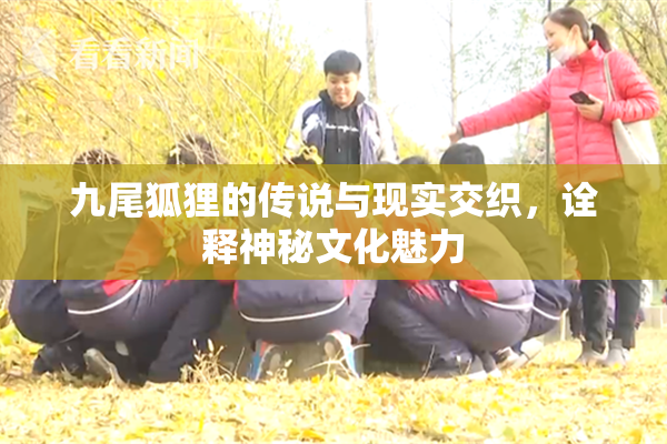 九尾狐狸的传说与现实交织，诠释神秘文化魅力