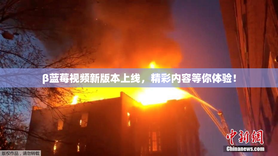 β蓝莓视频新版本上线，精彩内容等你体验！