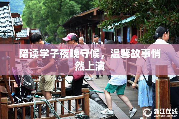 陪读学子夜晚守候，温馨故事悄然上演