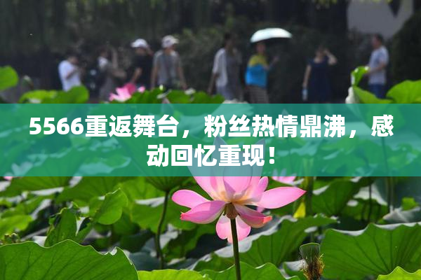 5566重返舞台，粉丝热情鼎沸，感动回忆重现！