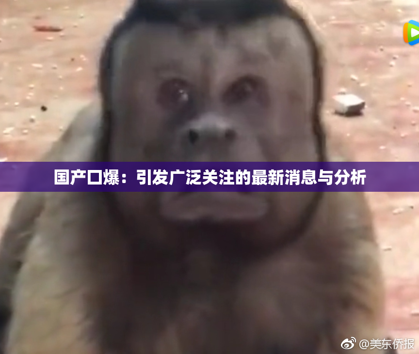 国产囗爆：引发广泛关注的最新消息与分析
