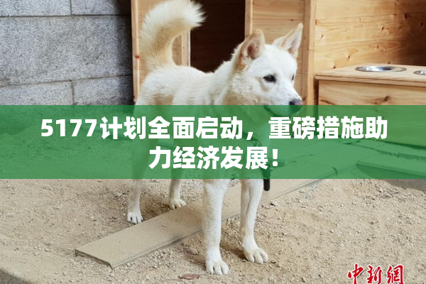 5177计划全面启动，重磅措施助力经济发展！