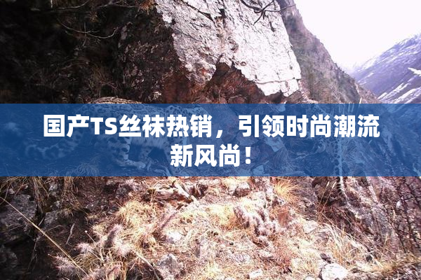 国产TS丝袜热销，引领时尚潮流新风尚！