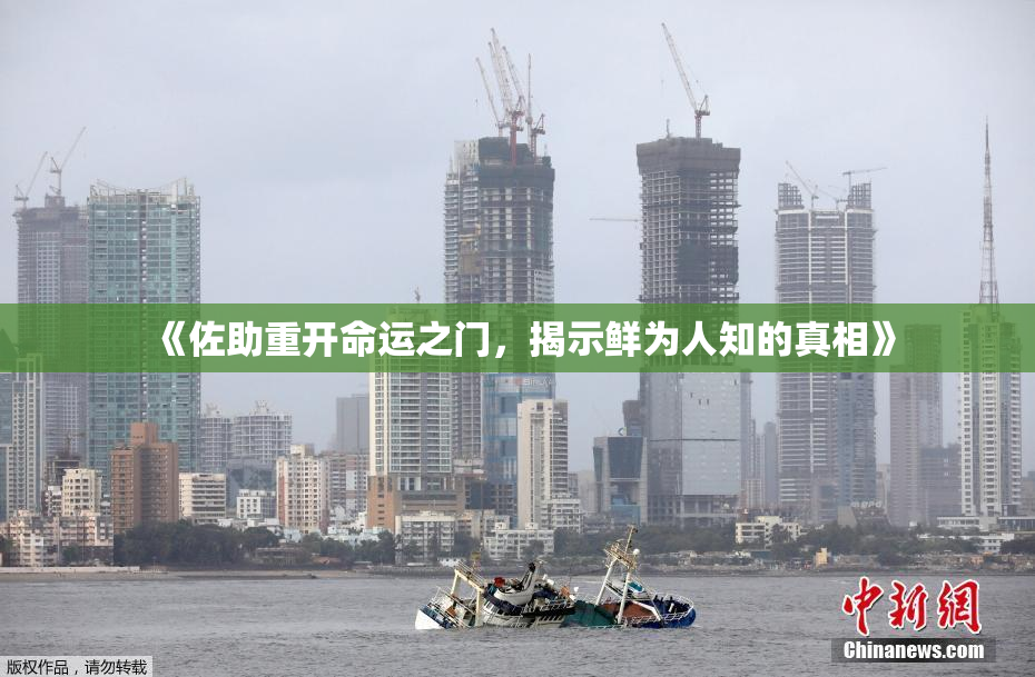 《佐助重开命运之门，揭示鲜为人知的真相》