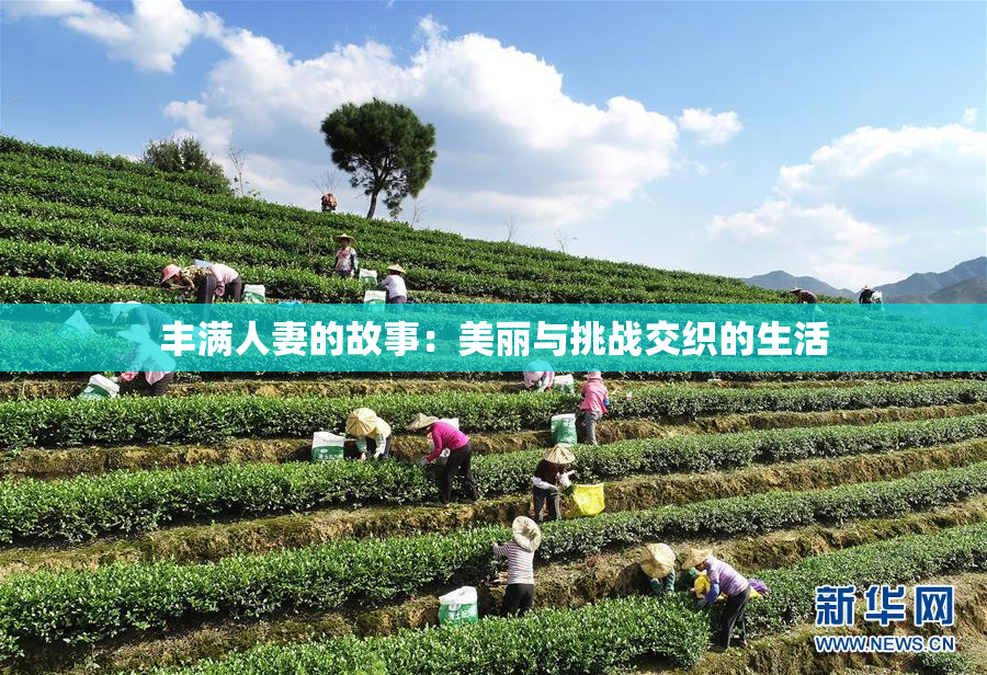 丰满人妻的故事：美丽与挑战交织的生活