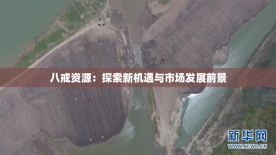 八戒资源：探索新机遇与市场发展前景