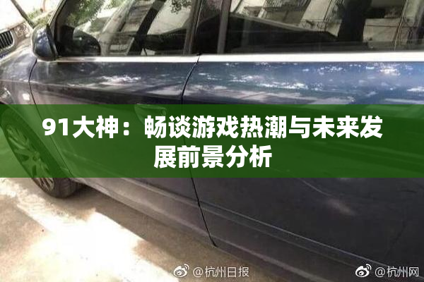 91大神：畅谈游戏热潮与未来发展前景分析