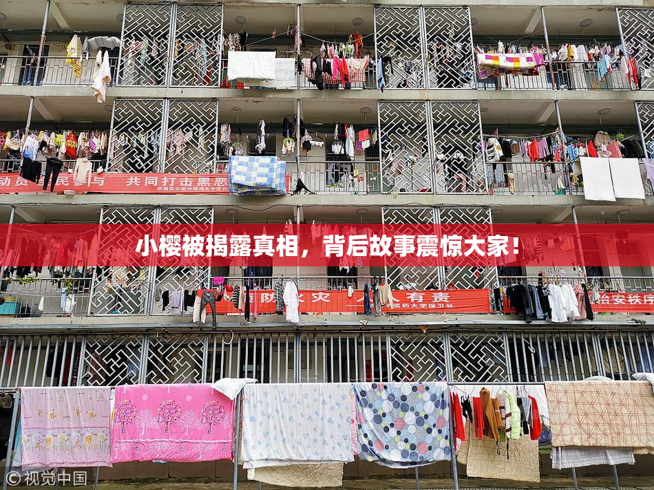 小樱被揭露真相，背后故事震惊大家！